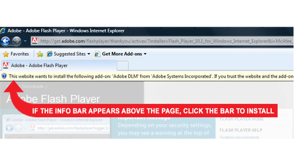 flash player download for internet explorer