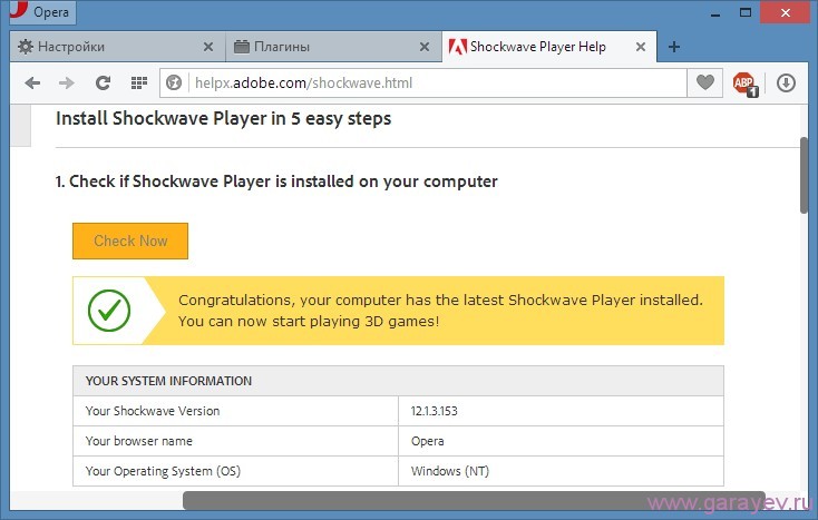 Проверка плагина. Shockwave плагин. Opera плагины настройка. Shockwave Flash game.